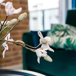 Apartamento Niedzialkowskiego By Renters