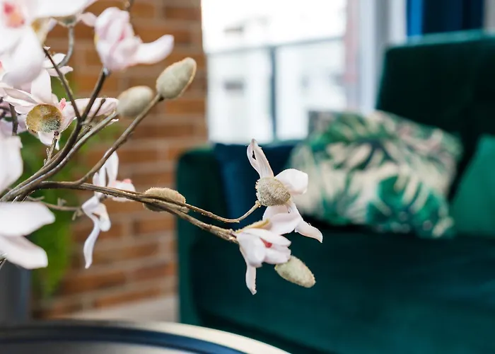 Apartman Niedzialkowskiego By Renters