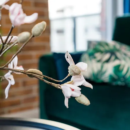 Lejlighed Niedzialkowskiego By Renters