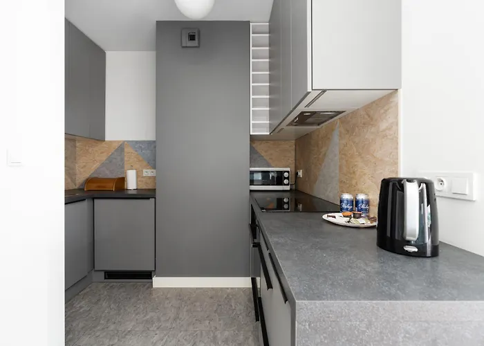 Daire Niedzialkowskiego By Renters *